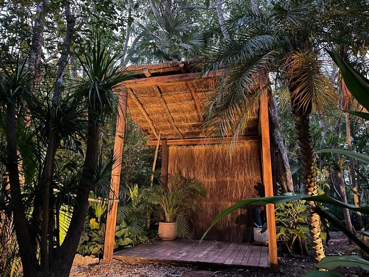 Selvatik - Jungle Pod Hotel Tulum México