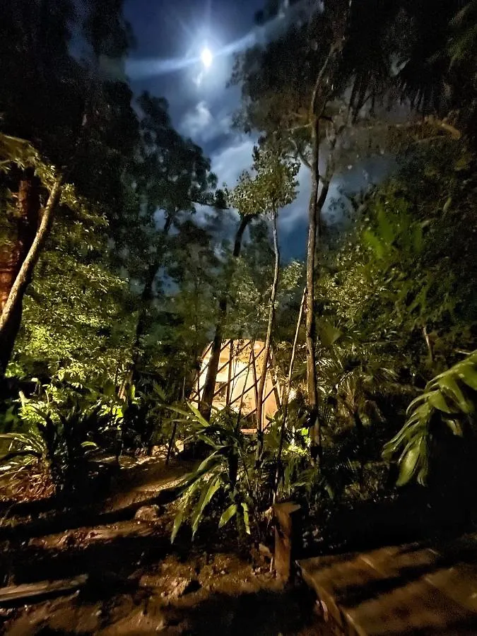 Selvatik - Jungle Pod Hotel Tulum