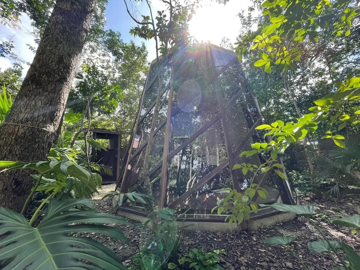 Selvatik - Jungle Pod Hotel Tulum