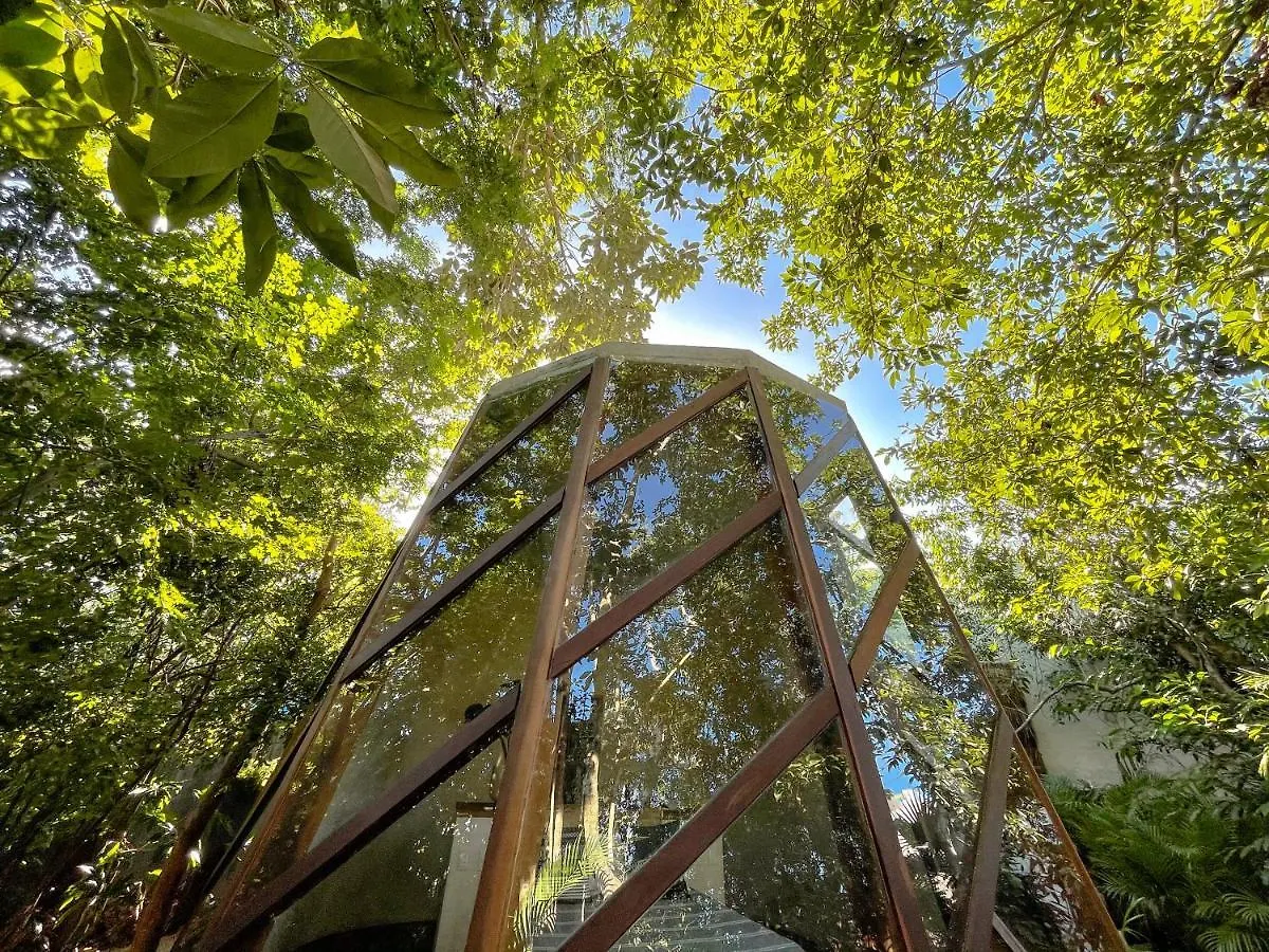 ***  Selvatik - Jungle Pod Hotel Tulum Mexico